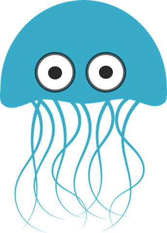 Jelly Fish PNG