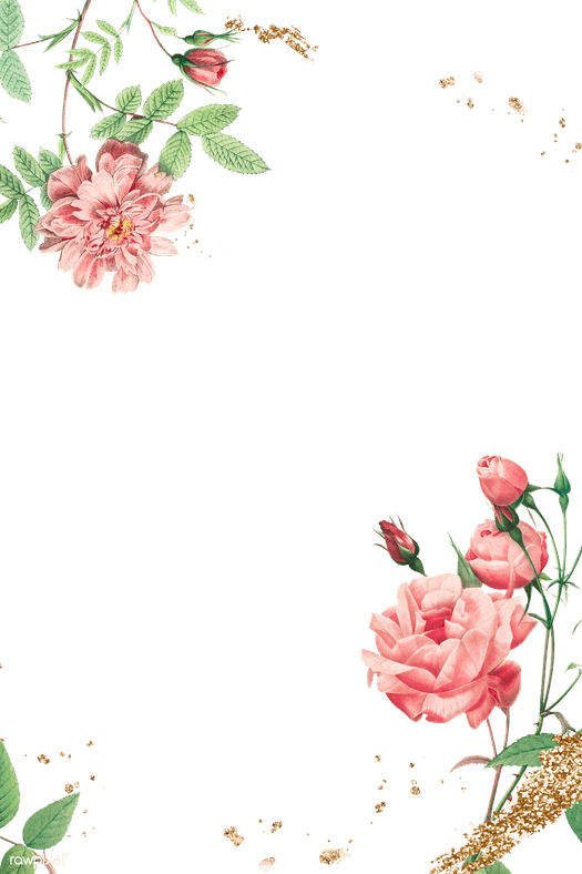 Rose Gold Frame PNG