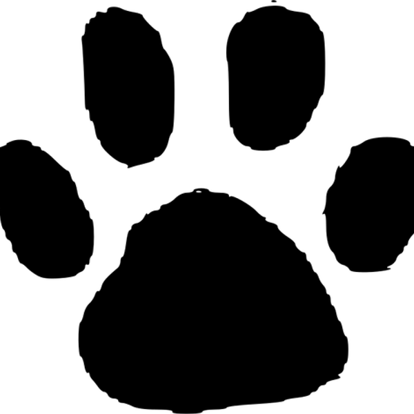 Animal Footprints PNG