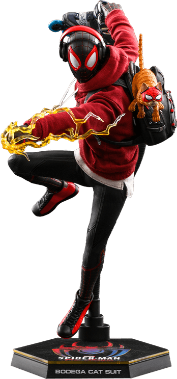 Spider Cat PNG