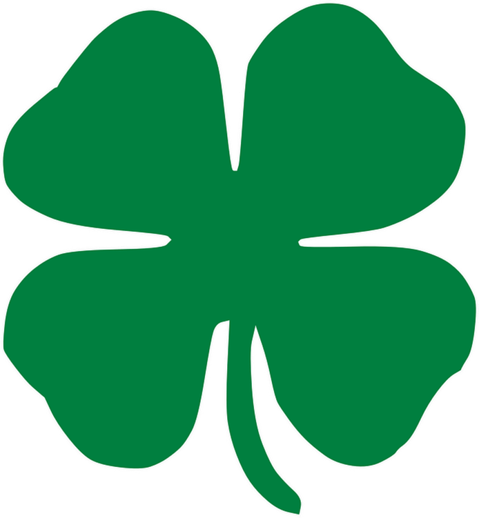 Irish Art PNG
