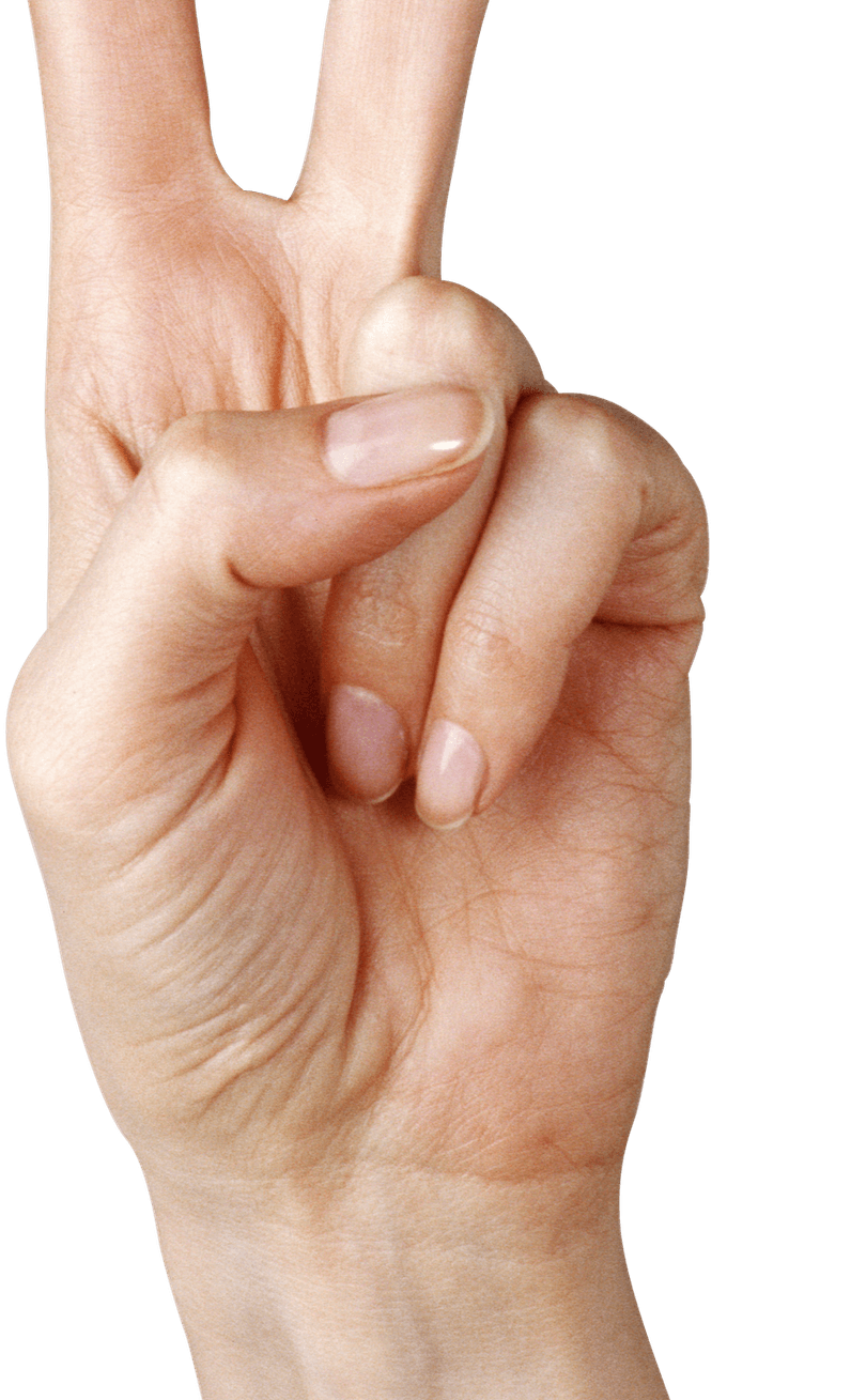 Fingers PNG