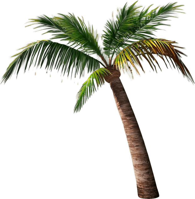 Sonic Palm Tree PNG