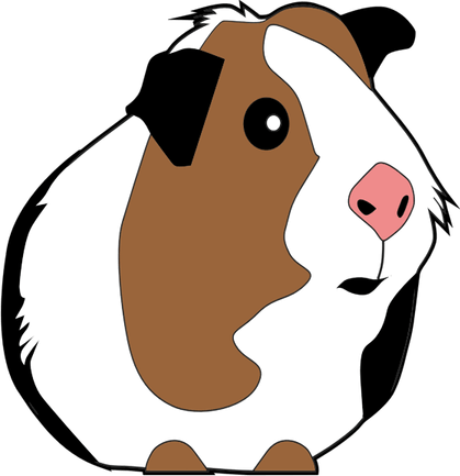 Guinea Pig PNG