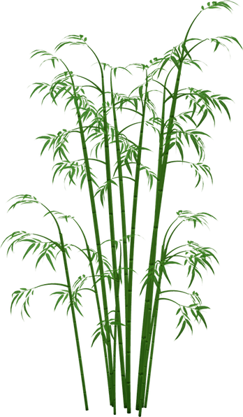 Bamboo PNG