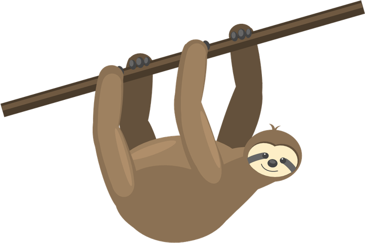 Sloth PNG