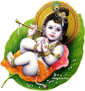 Lord Krishna PNG