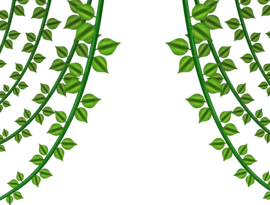 Ivy PNG