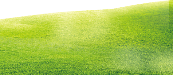 Green Land PNG