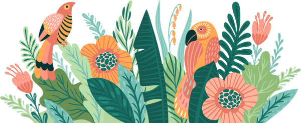 Tropical Border PNG