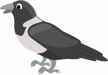 African Bird PNG