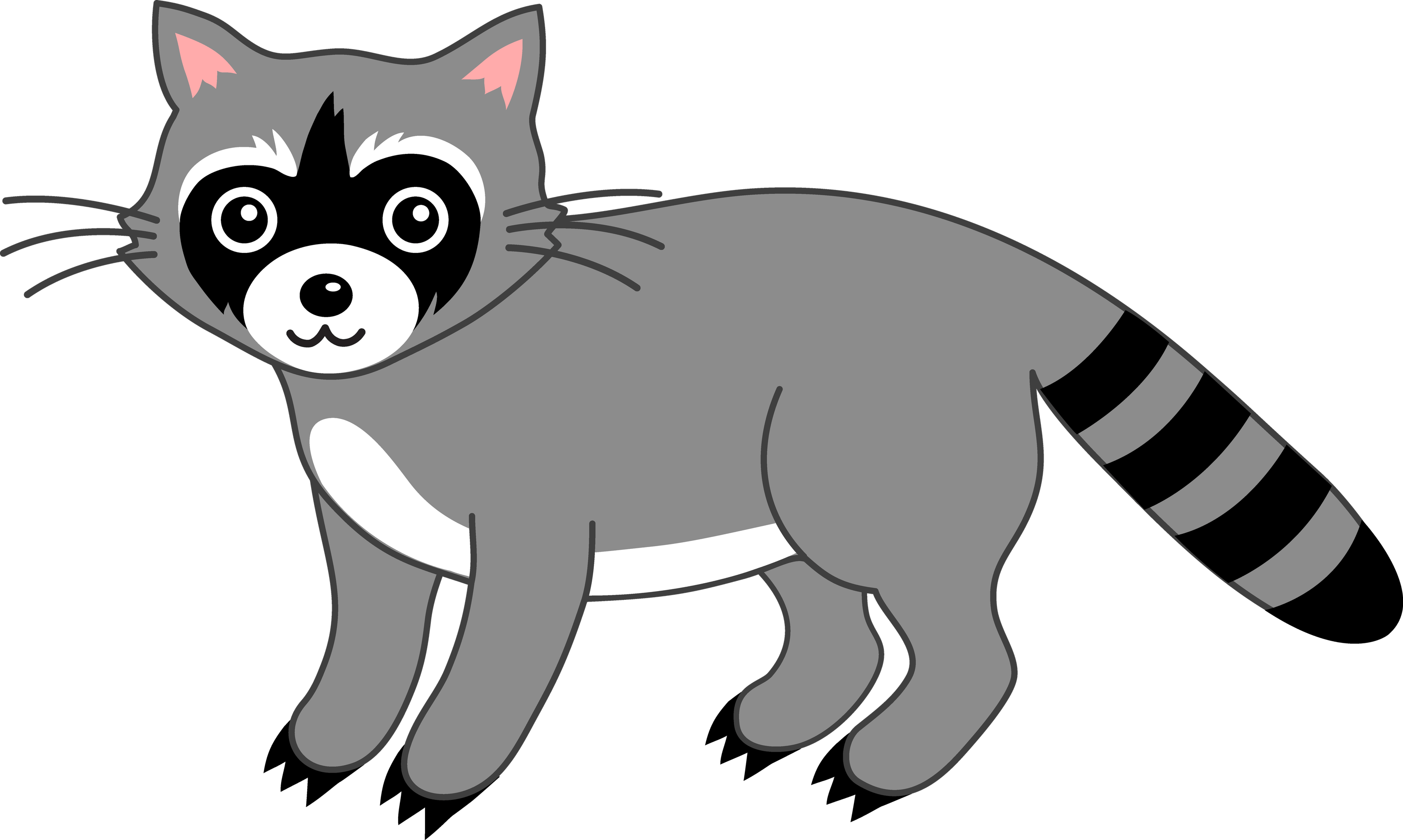 Raccoon PNG