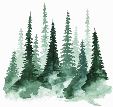 Forest PNG