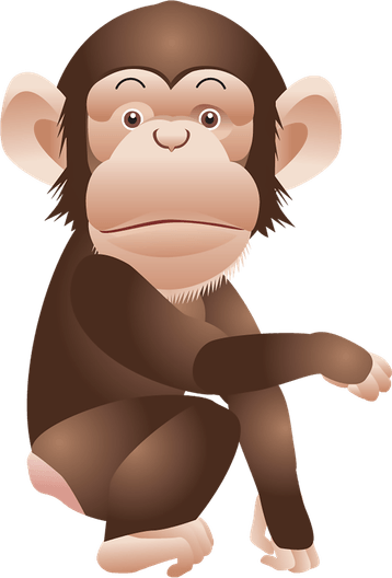 Monkey PNG