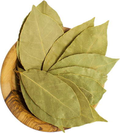 Bay Leaves PNG