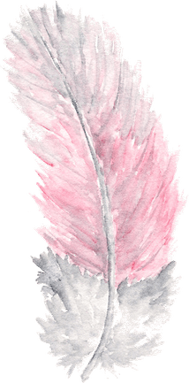 Feather PNG