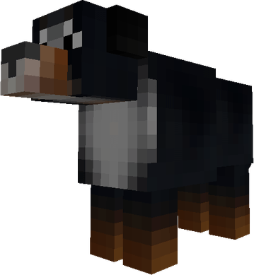 Bernese Mountain Dog PNG