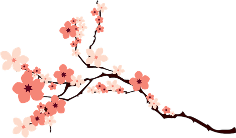 Cherry Blossom PNG