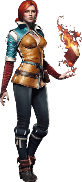 The Witcher 3 Wild Hunt PNG
