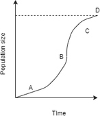 Growth Graph PNG