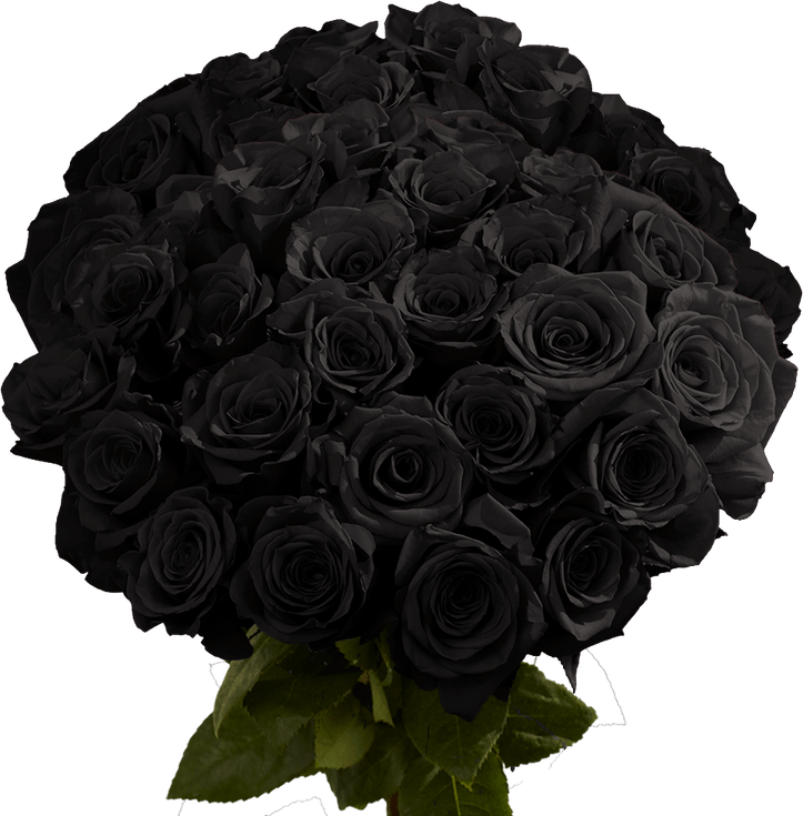 Roses Black PNG