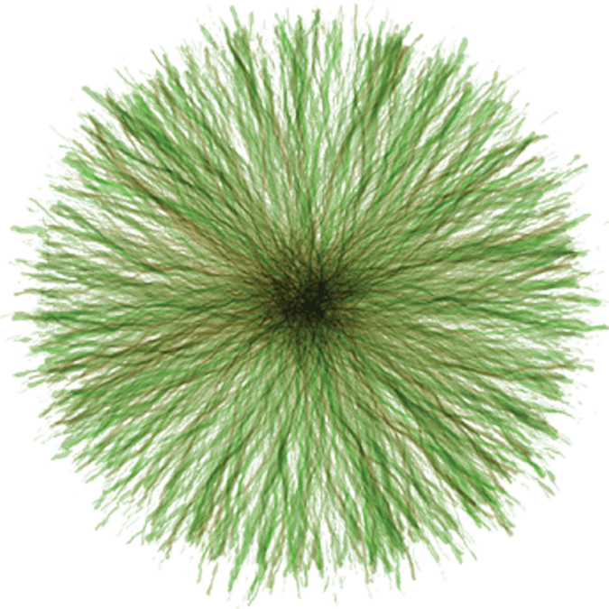Top View Grass PNG