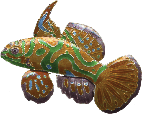 Mandarin Fish PNG