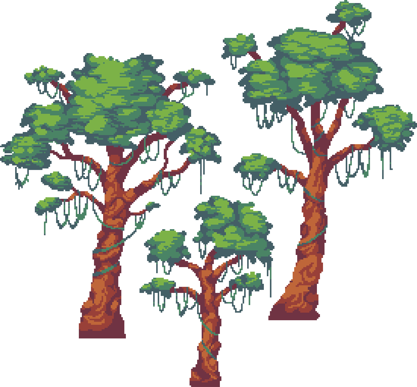 Rainforest Tree PNG