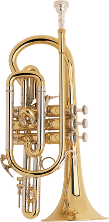 Cornet Musical Instrument PNG