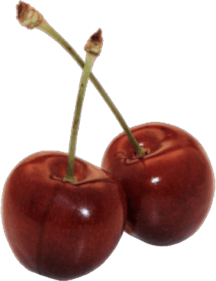 Cherry Aesthetic Theme PNG