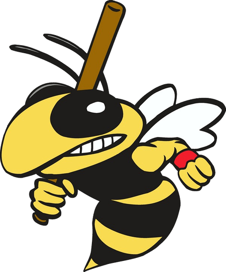 Wasp PNG