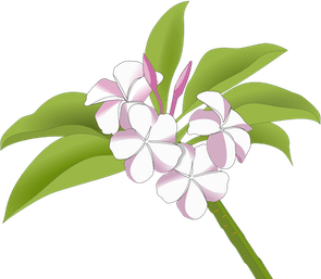 Hawaiian Flowers PNG