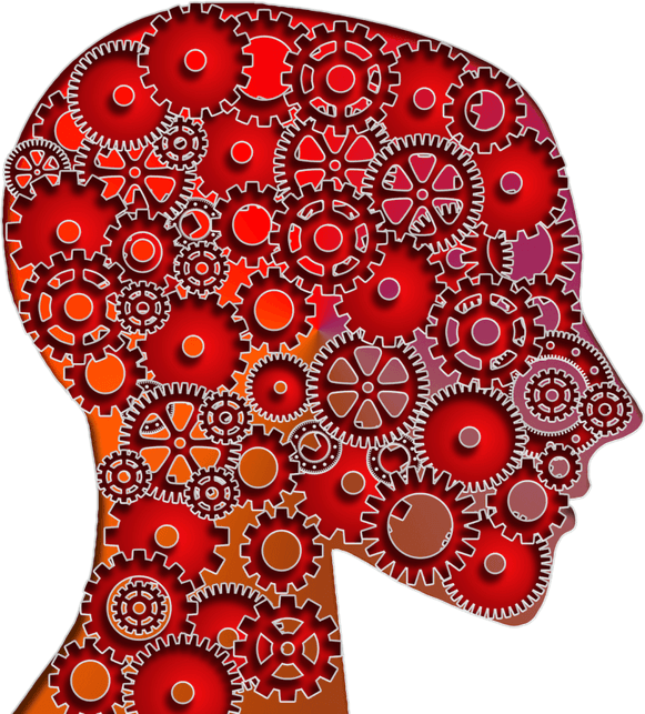 Brain Gears PNG