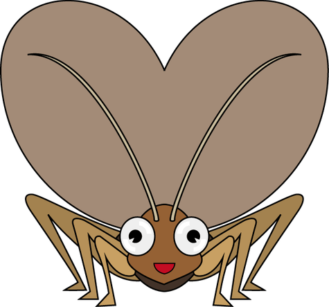 Cricket Insect PNG