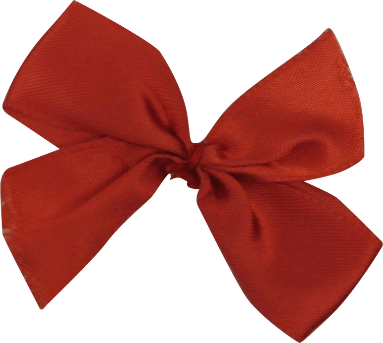Hair Bow PNG