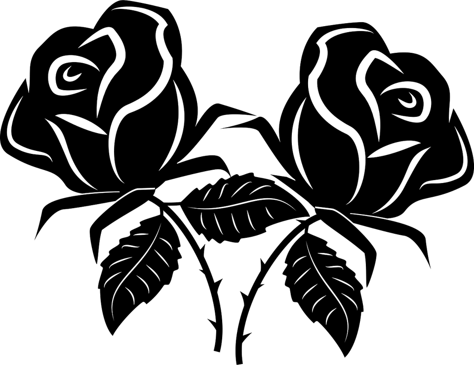 Roses Black PNG