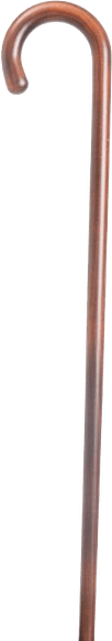 Walking Stick Cane PNG
