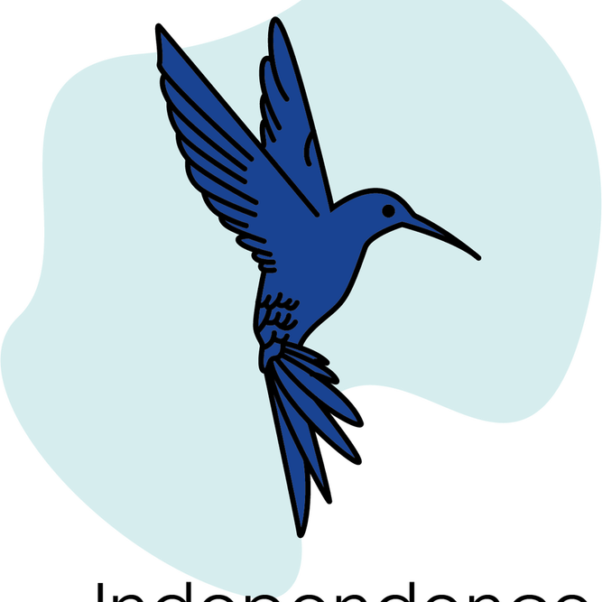 Independence Day Bird PNG