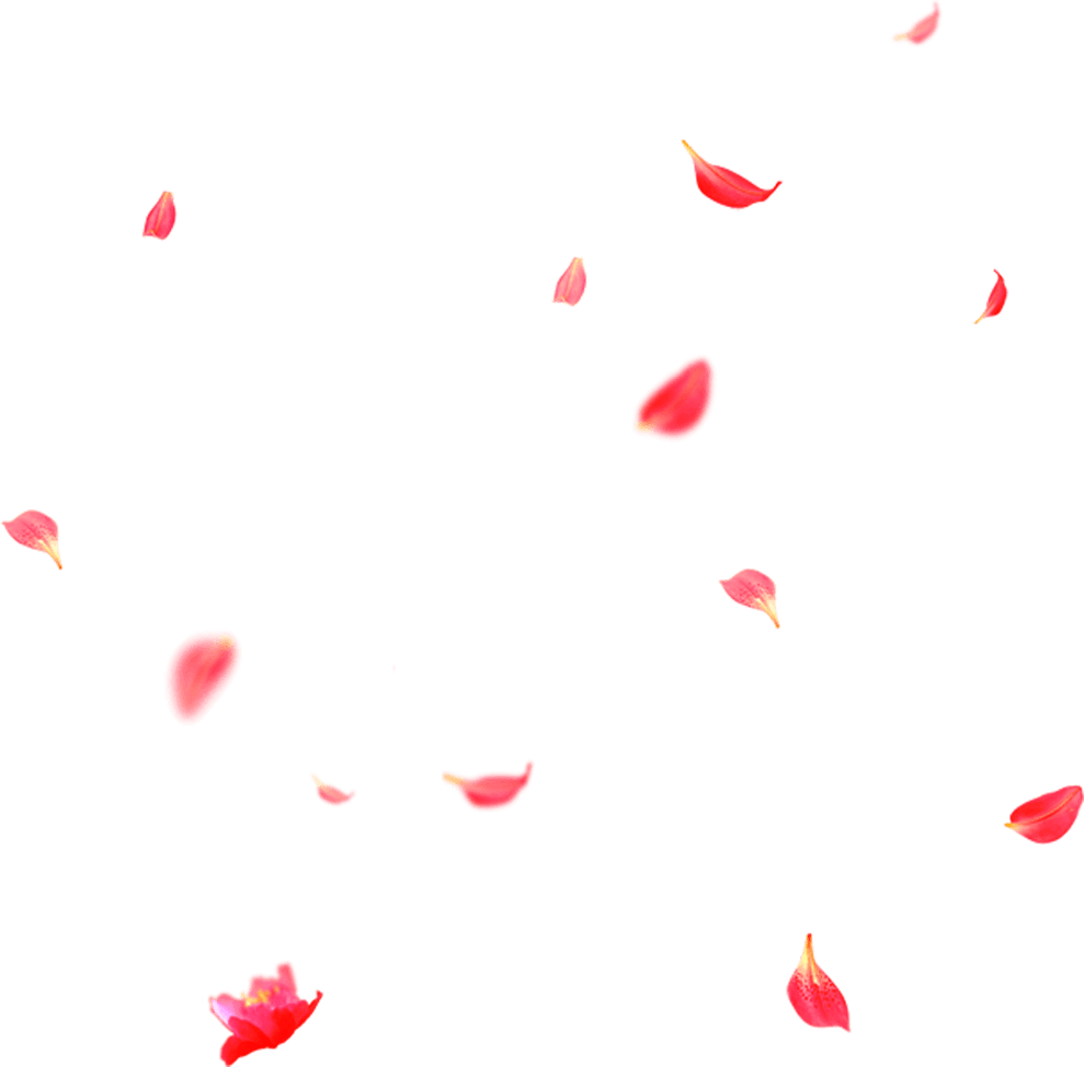 Falling Flower PNG
