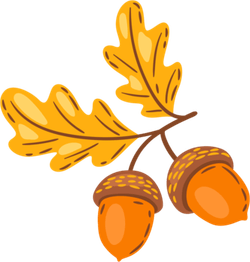 Acorn Oak PNG