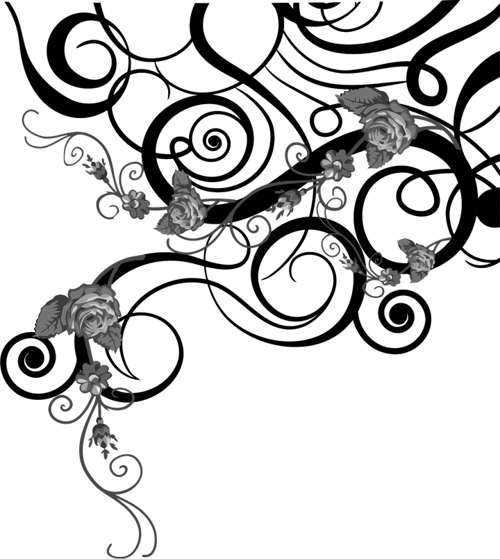 Silver Flower Border PNG