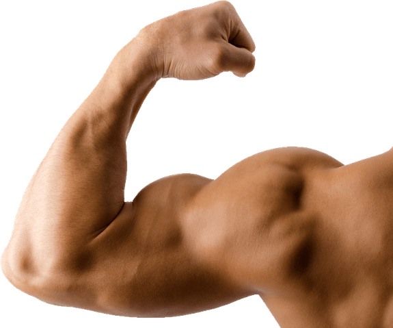 Biceps PNG