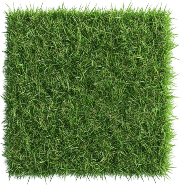 Fake Grass PNG