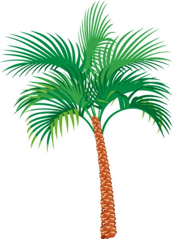 Khajoor Tree PNG