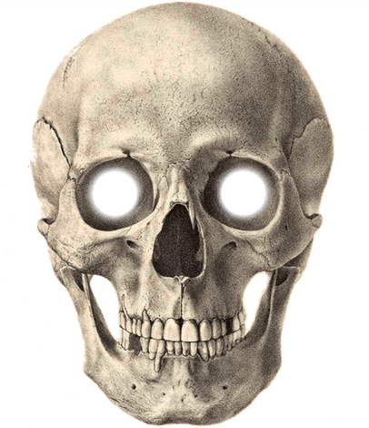 Skull Meme PNG