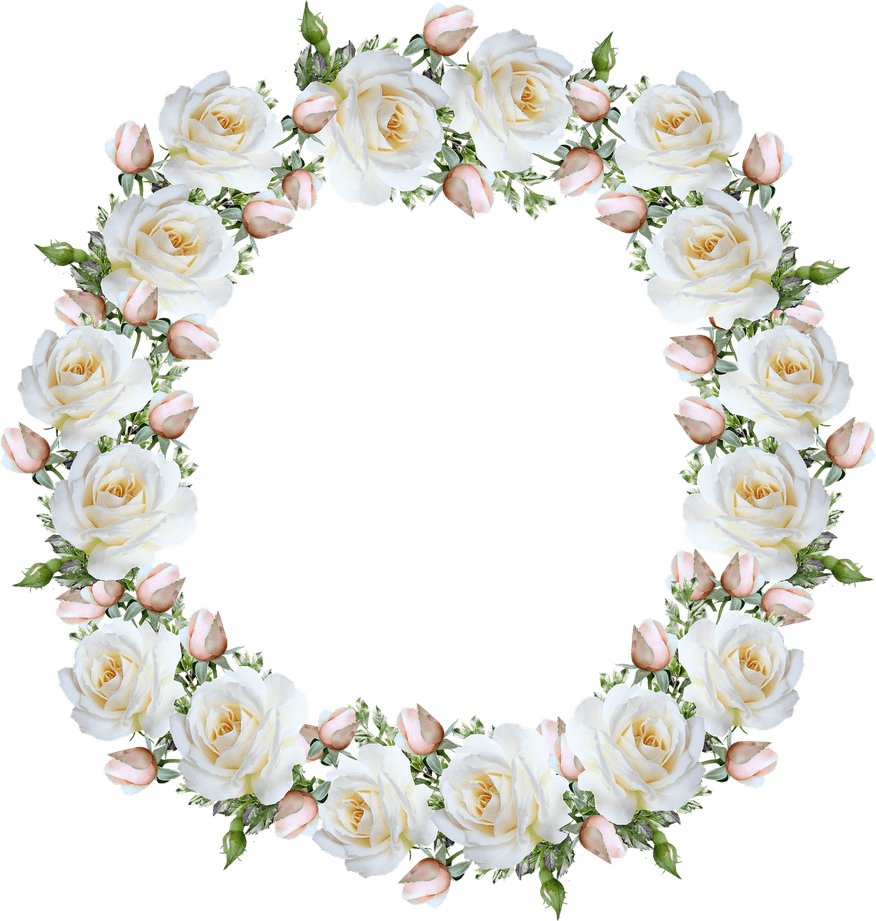White Rose Border PNG