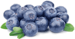 Blueberries PNG