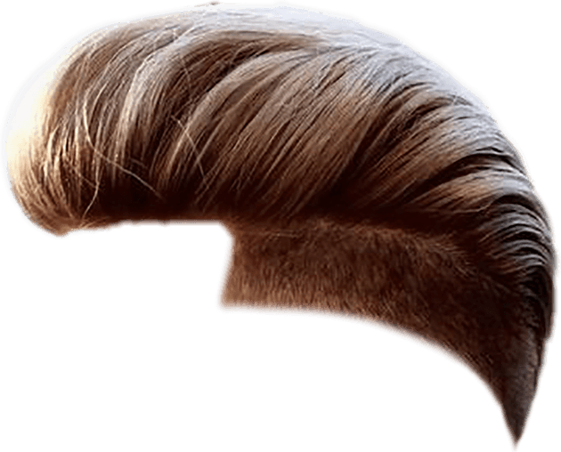 Men Hair PNG