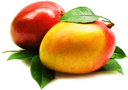 Mango PNG