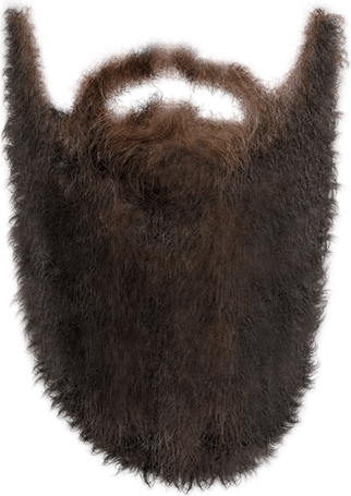 Santa Beard PNG